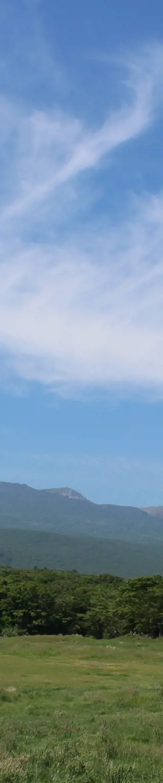 Besuche den Hallasan Nationalpark auf der Insel